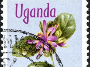 1969