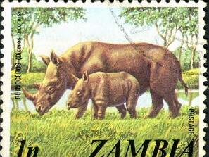 1975