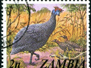 1977