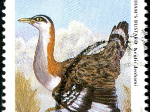 1987