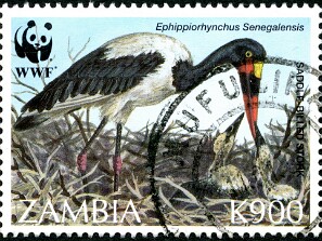 1999
