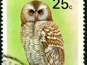 1993