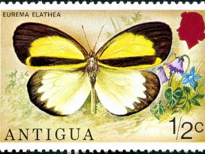 1975