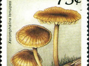 1989
