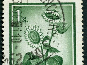 1976