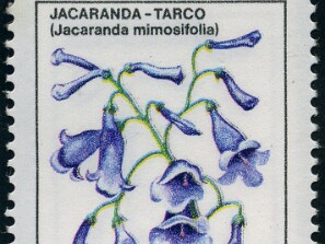 1982