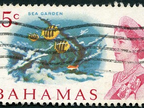 1967