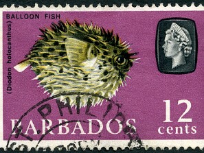 1965