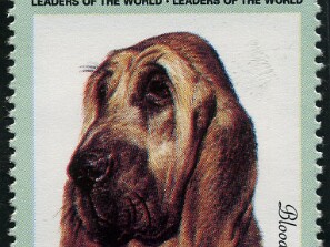 1985
