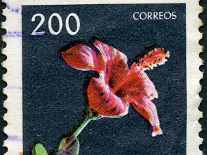 1962