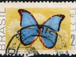 1971