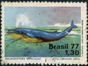 1977