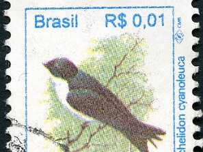 1994