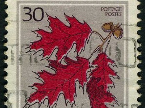 1954
