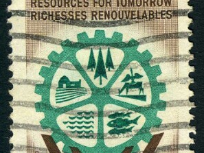 1961