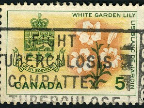 1964