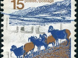 1972