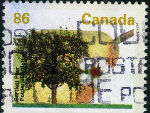 1992