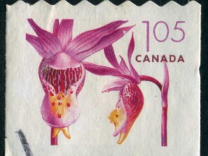 2005