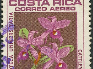 1967