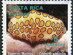 1994