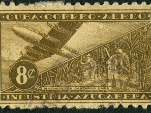 1954