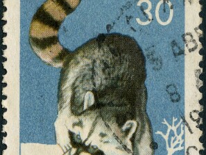 1967