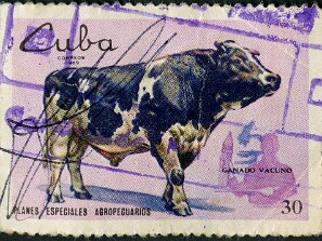 1969