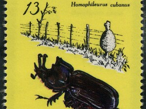 1980