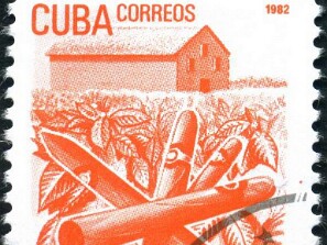 1982