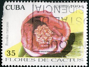 1994