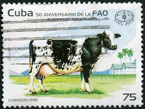 1995