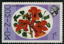 Dominica