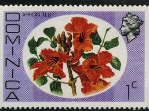 Dominica