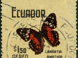 1961