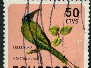 1966