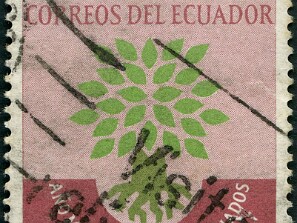 1993