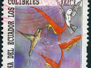 1994