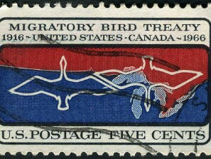 1966