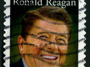 1981