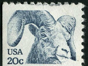 1982