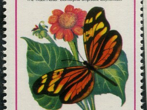 1975
