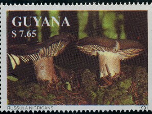 1991