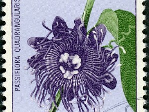 1965