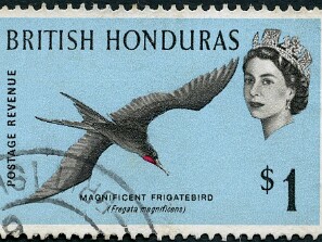 1962