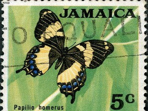 1964
