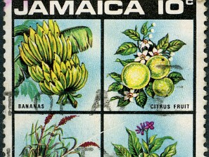 1970