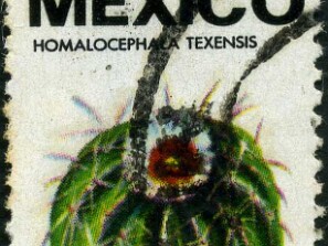 1977-78
