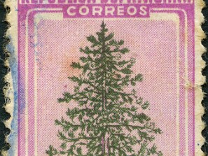 1946