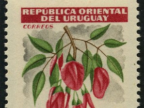 1954